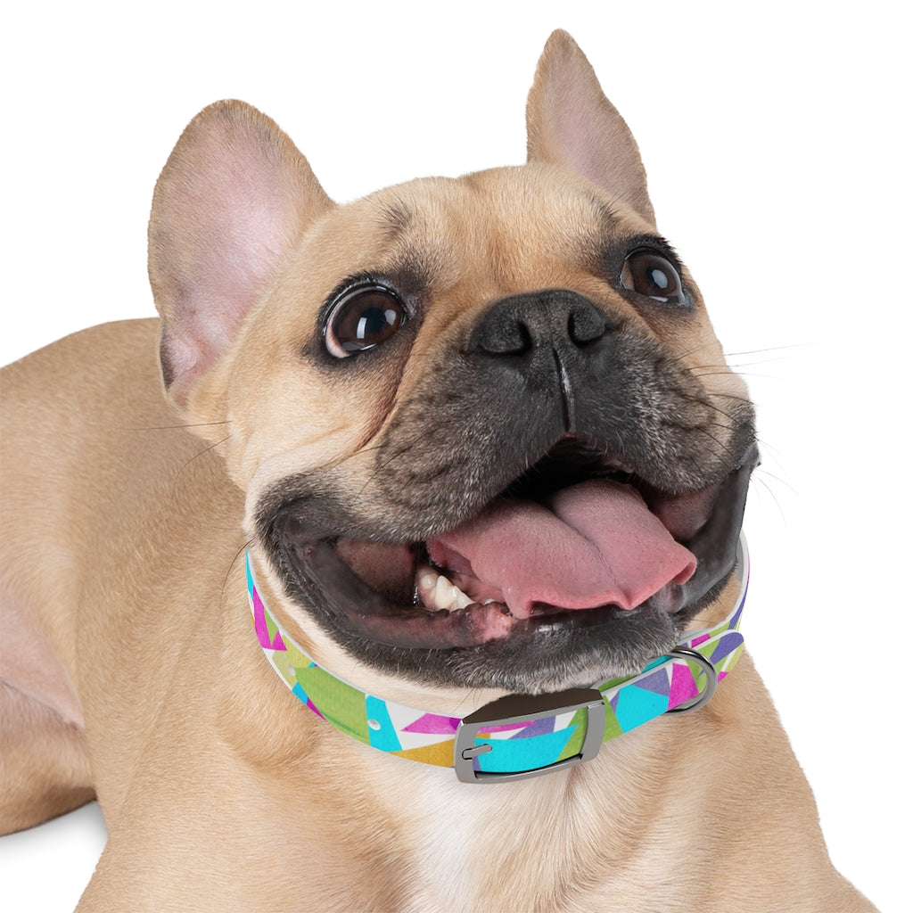 Cosmic ColorBlast CollarBring the funky cosmic colors to your cool kid's couture. This collar is waterproof too so it's great for those fun days at the beach! And it matches everything fPetsPrintifyCosmic Industries
