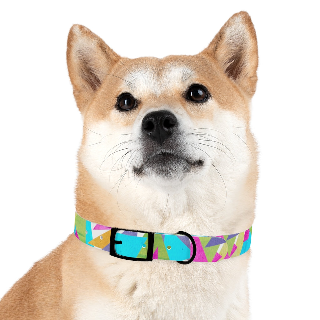 Cosmic ColorBlast CollarBring the funky cosmic colors to your cool kid's couture. This collar is waterproof too so it's great for those fun days at the beach! And it matches everything fPetsPrintifyCosmic Industries